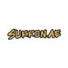 In - shop repairs and maintenance - SURRON.AE